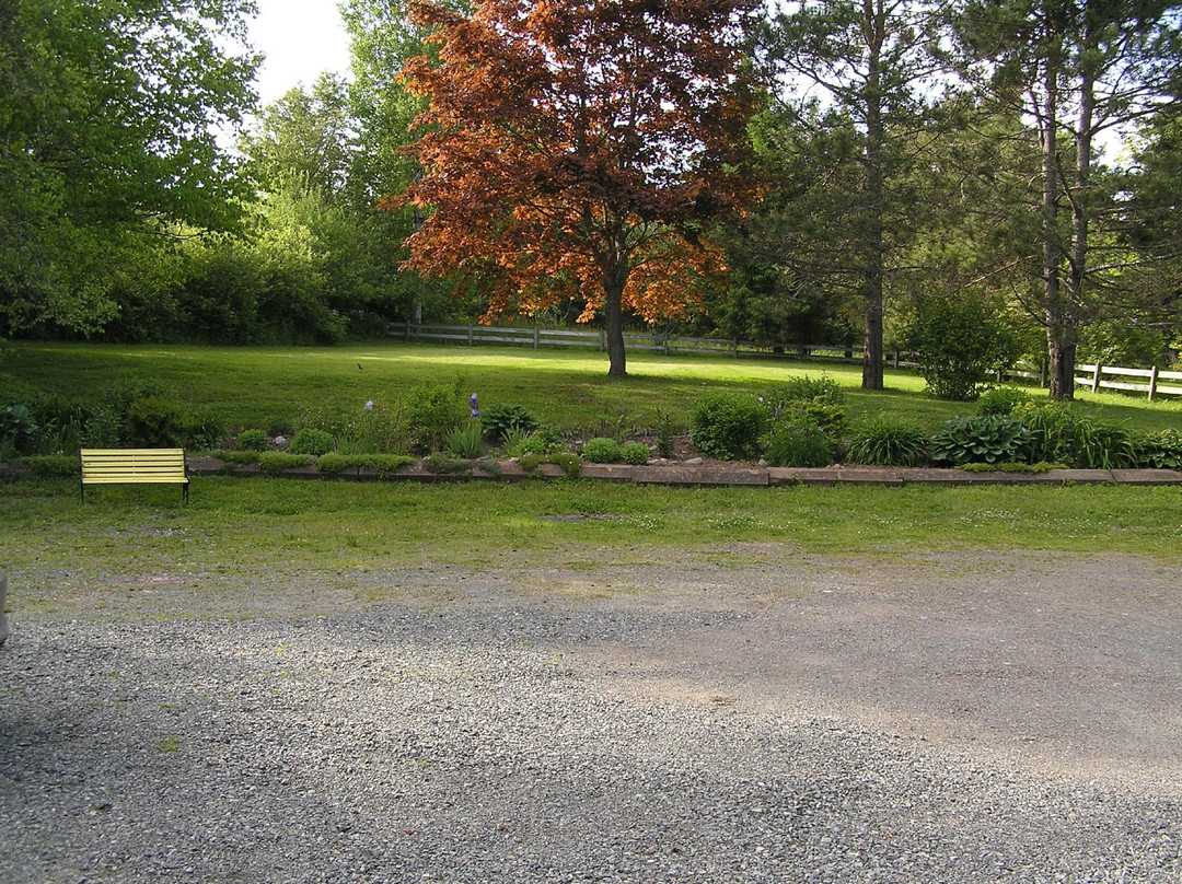 Tulips and Thistle Bed & Breakfast主图