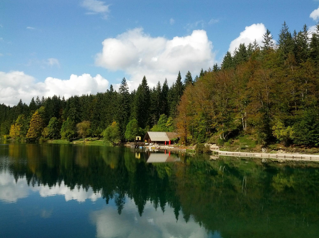 Laghi Di Fusine景点图片