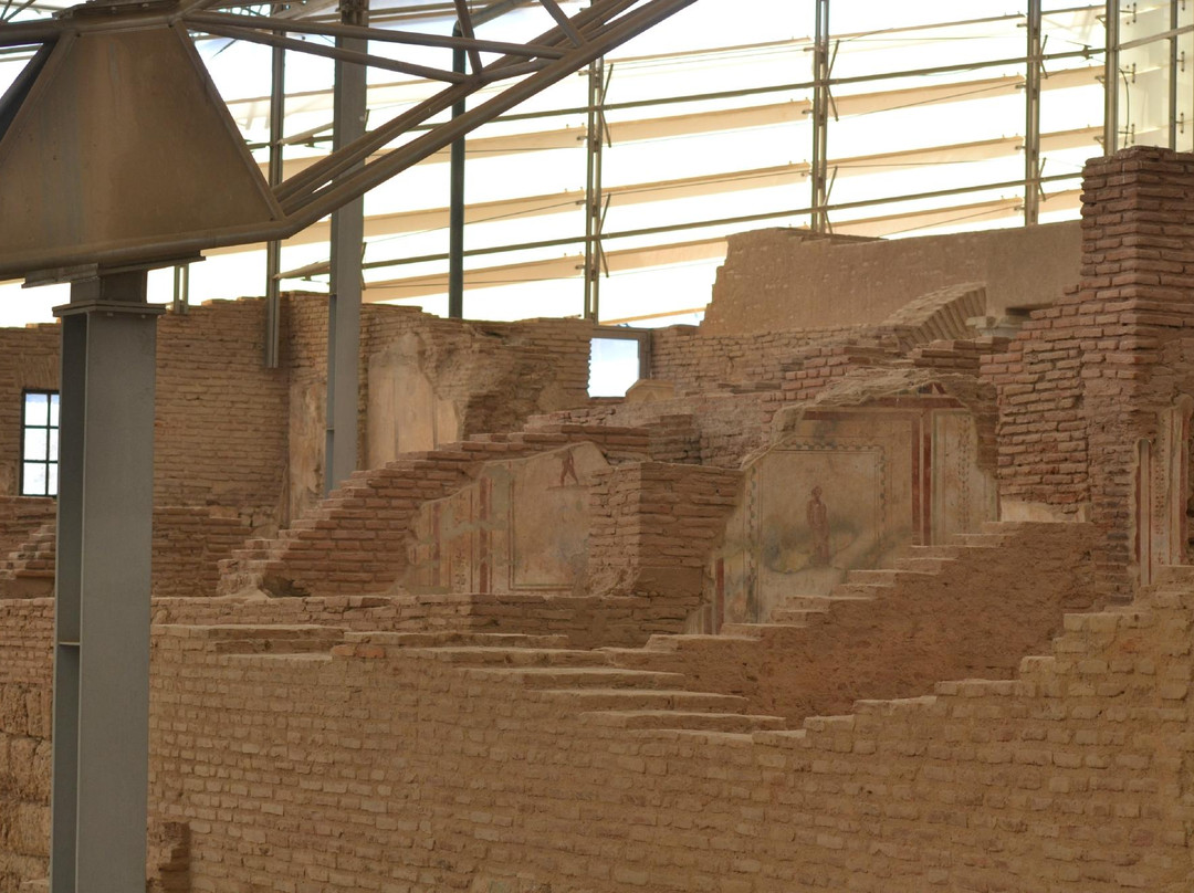Ephesus Deluxe Tours景点图片