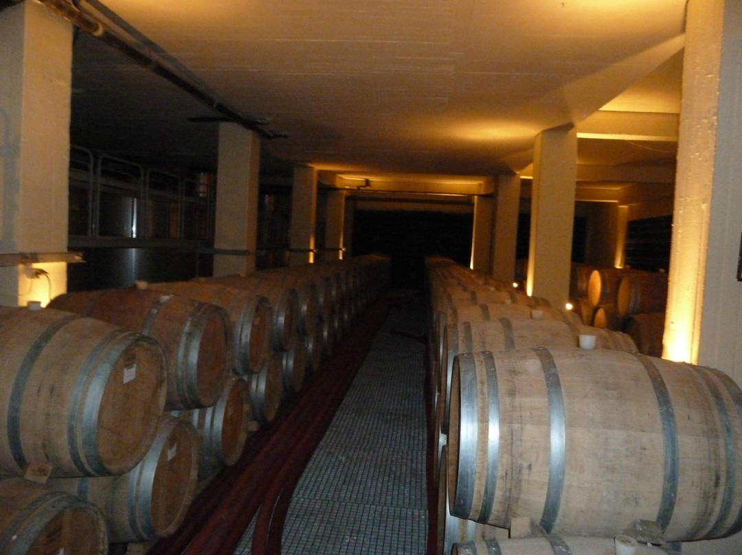 圣托里尼红酒游览-费拉必去景点