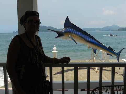 Hotel Marlyn de Manzanillo主图