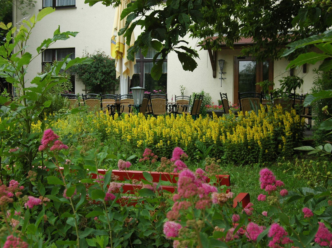 Berghotel Rotstein主图