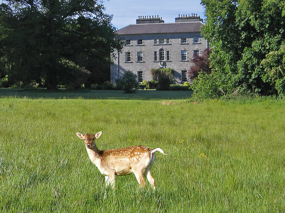 Ballymote旅游攻略图片