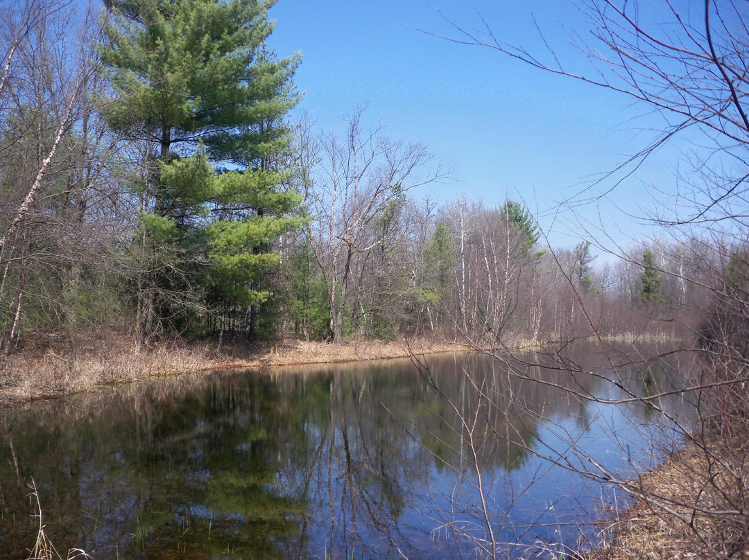 Wilderness Inn主图