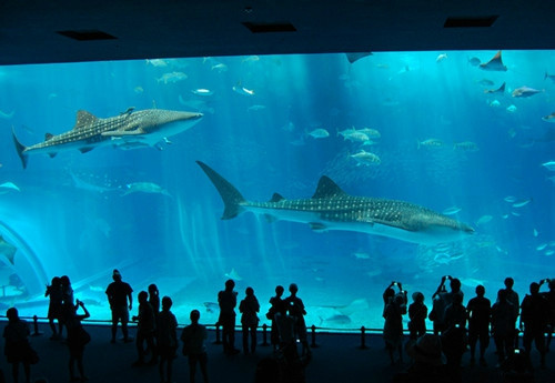 海昌渔人码头-烟台市必去景点