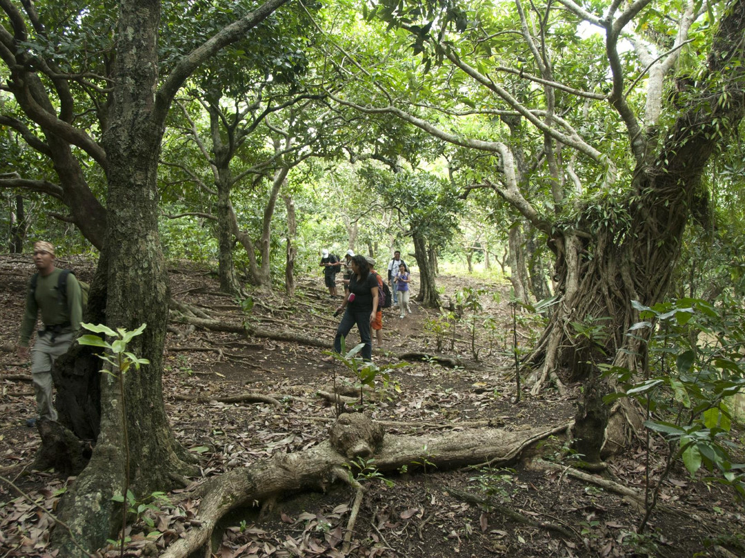 Turungan Cave-Itbayat Island必去景点