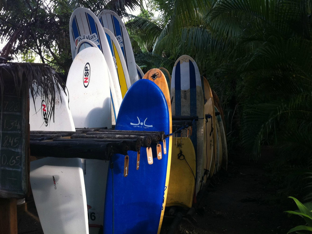 Del Mar Surf Camp景点图片