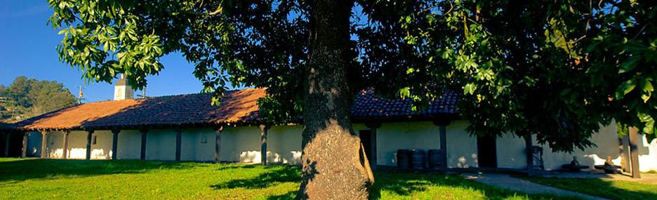 Mission State Park-圣克鲁斯必去景点