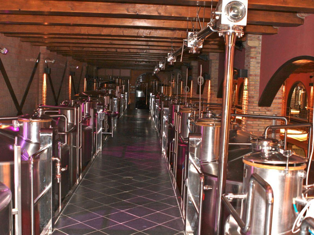 Bodega Stratvs景点图片