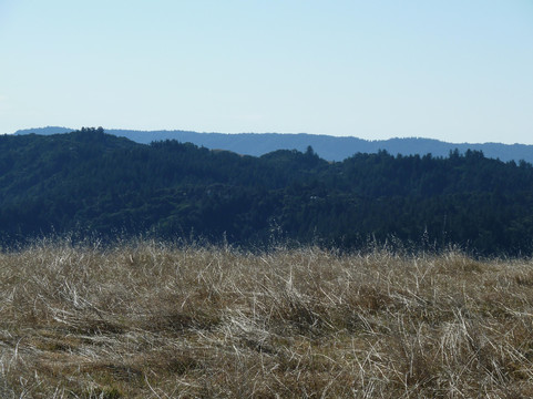 圣安东尼奥县农场公园-库柏蒂诺必去景点