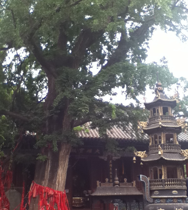 青檀寺-枣庄市必去景点