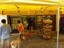 Gallery 3