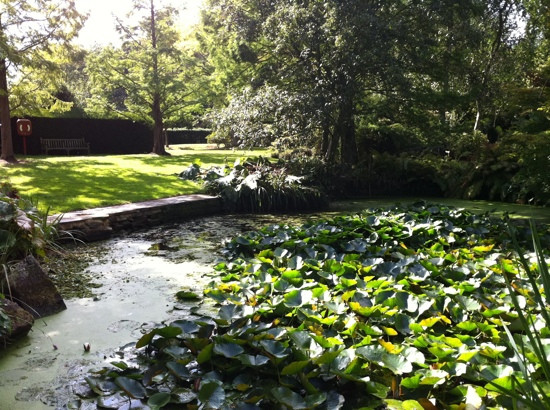 Capel Manor Gardens景点图片