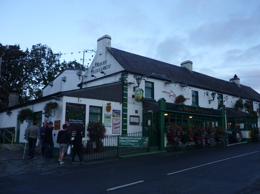 The Merry Ploughboy Irish Music Pub夜店-都柏林必去景点