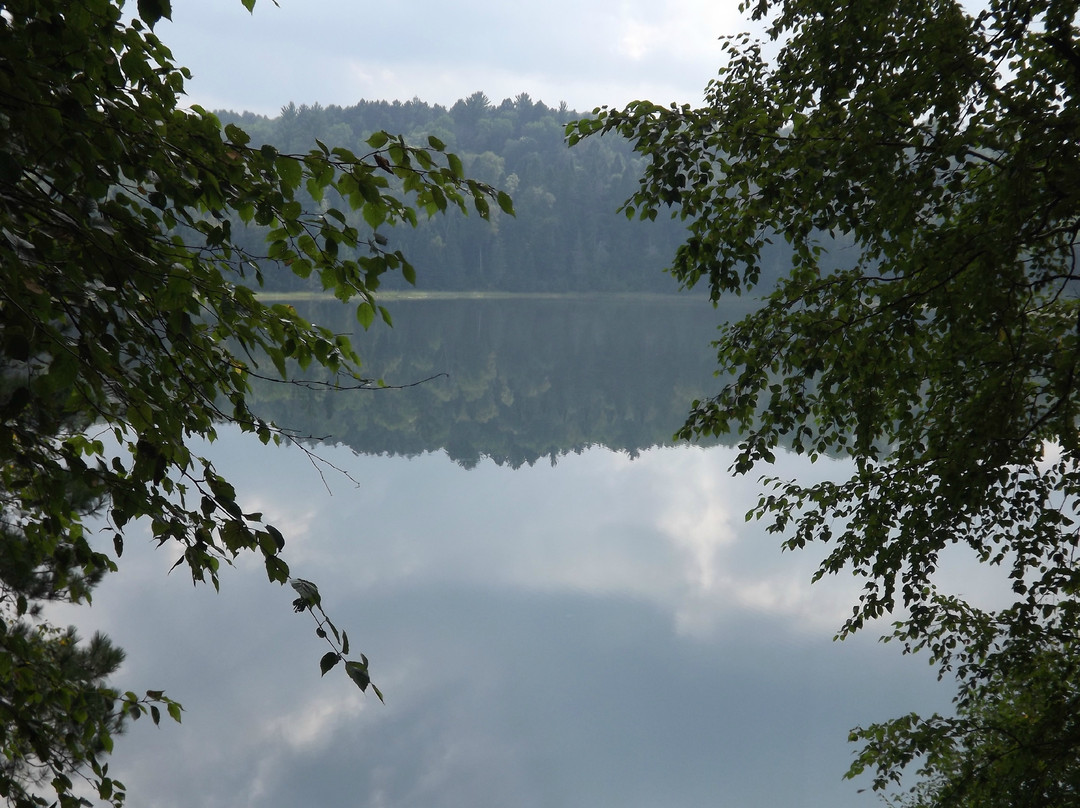 Preacher's Grove-Lake Itasca必去景点
