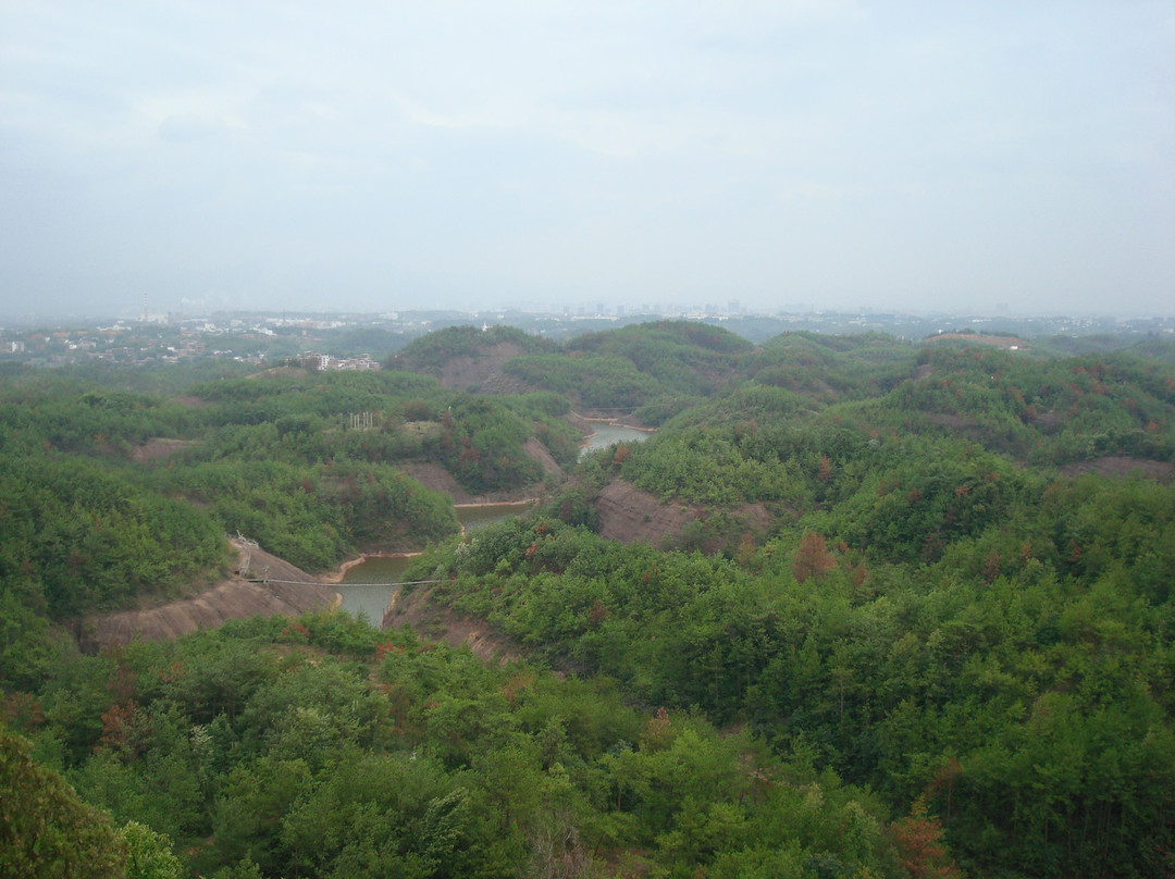 通天岩景区-赣州市必去景点