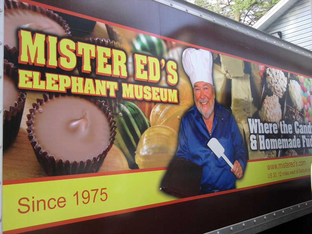 Mister Ed's Elephant Museum景点图片