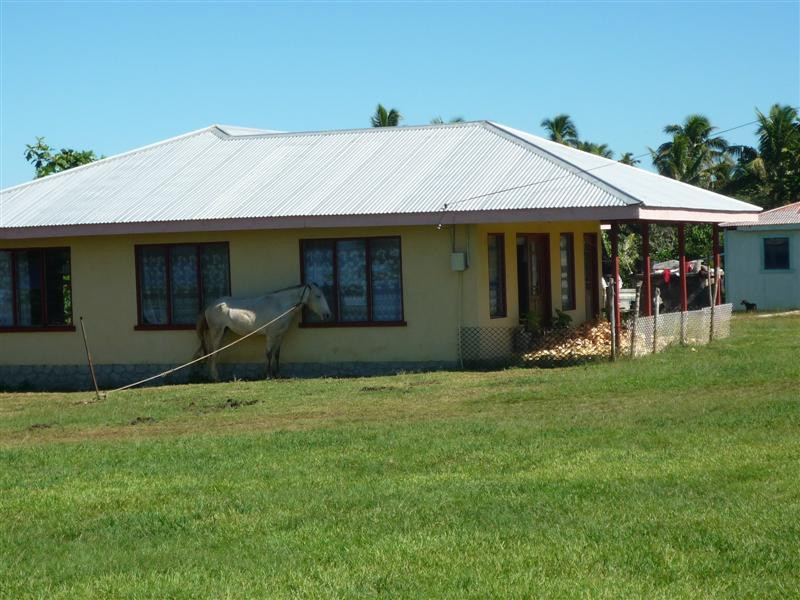 Fifita's Guest House