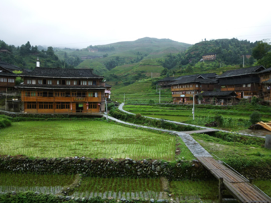 吾不知其名主图