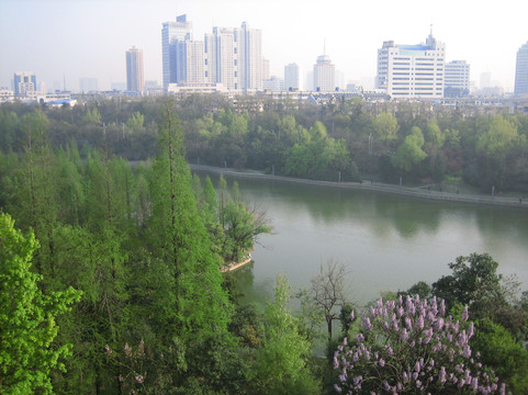 稻香楼宾馆主图