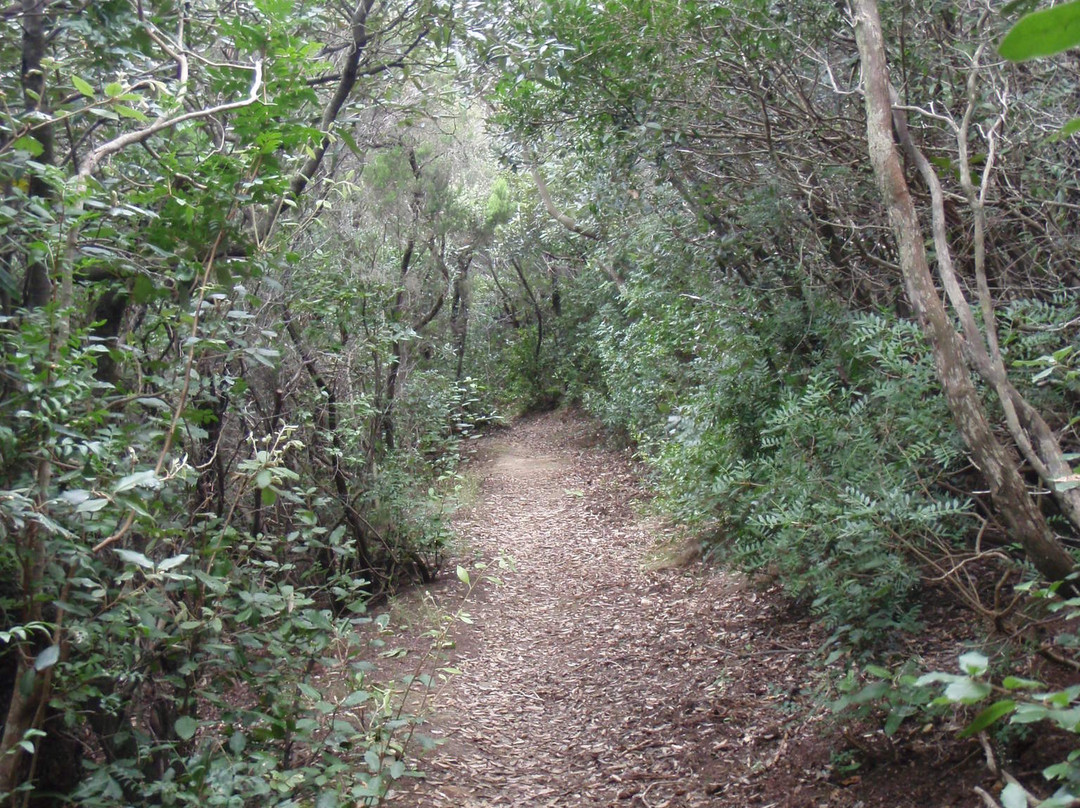 Walking trail to Spiaggia della Biodola-Procchio必去景点