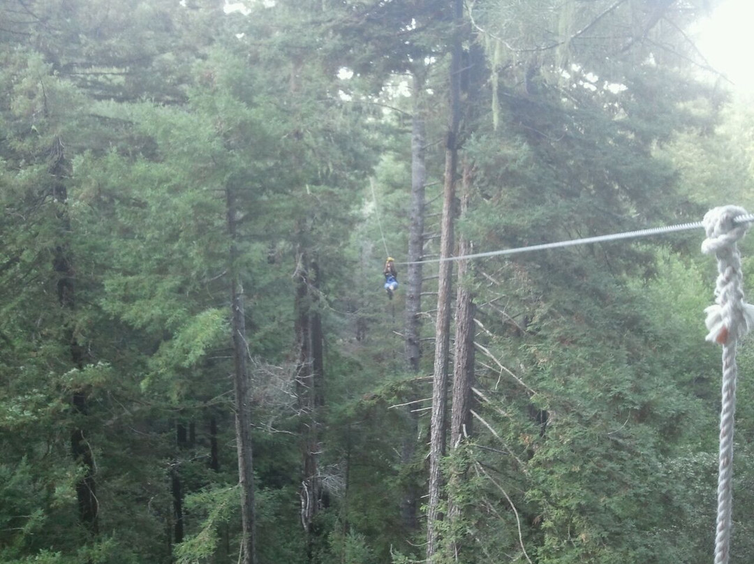 Sonoma Zipline Adventures景点图片