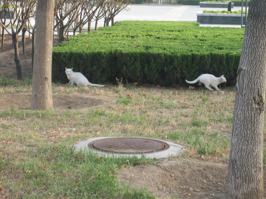 中州国际金明酒店主图