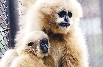 济南动物园-济南市必去景点