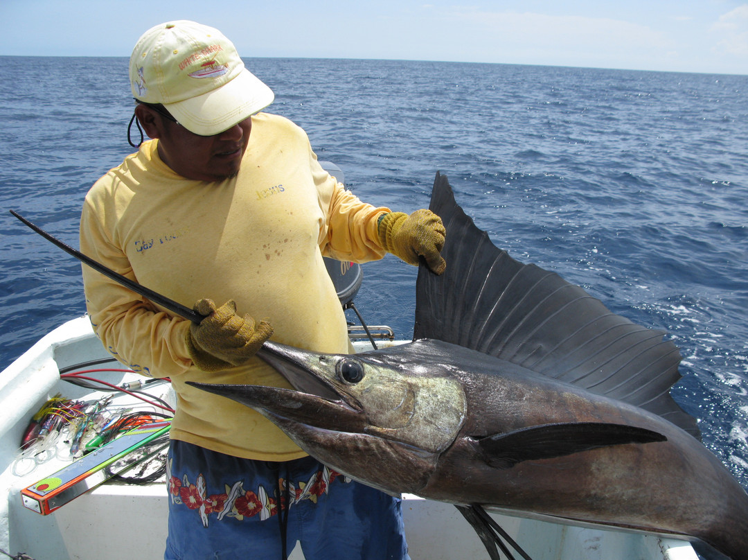 White Shark Sport Fishing & Tours景点图片