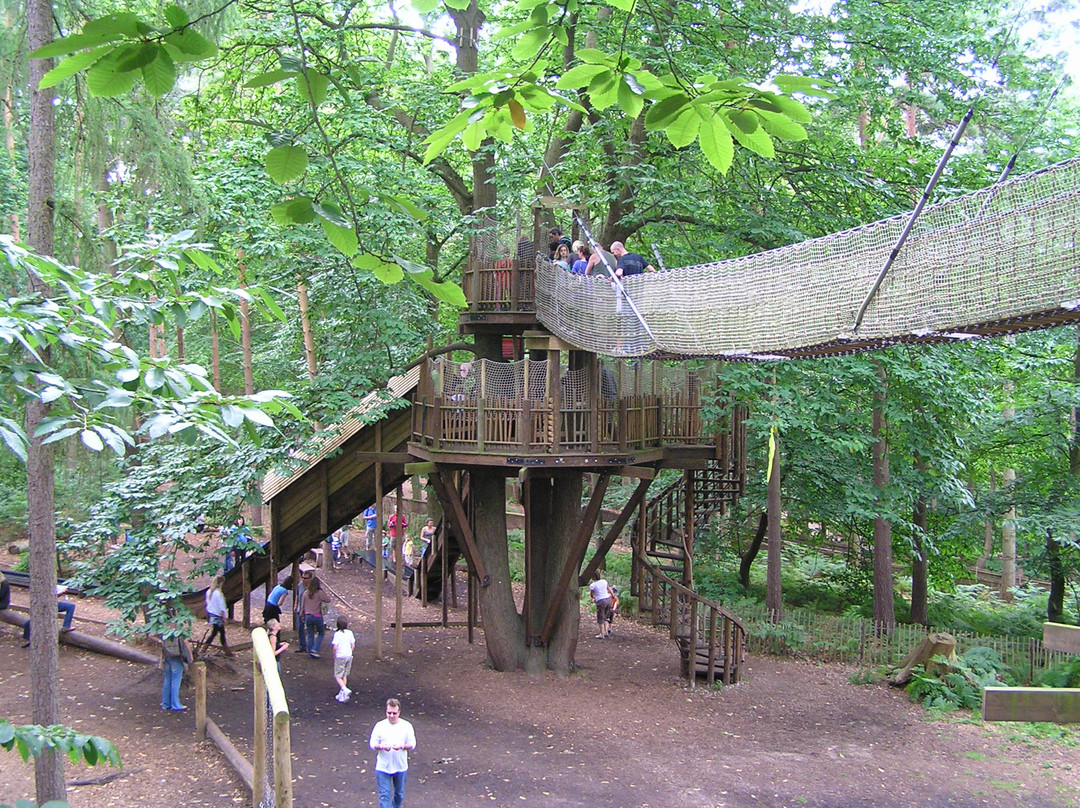 Bewilderwood Norfolk景点图片