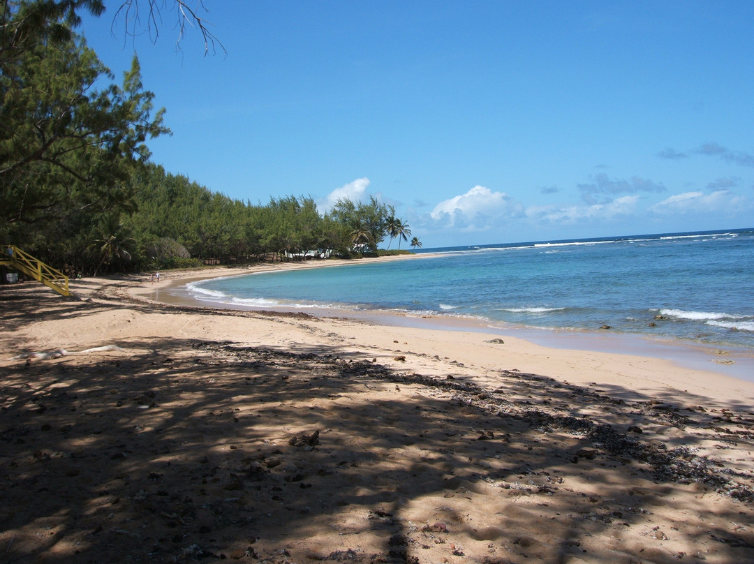 Bath Beach-Bathsheba必去景点