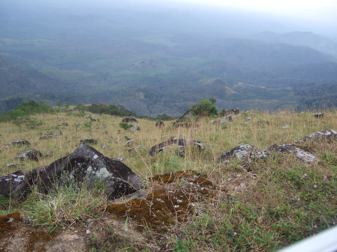 Ponmudi Hill Station景点图片