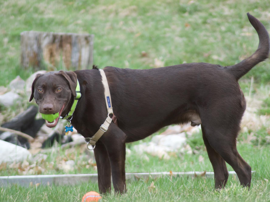 Orvis-曼彻斯特必去景点