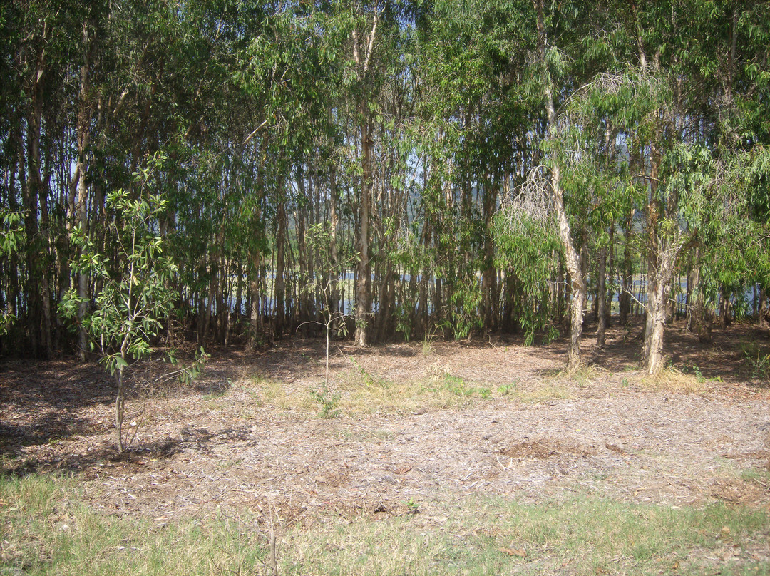 Cattana Wetlands景点图片