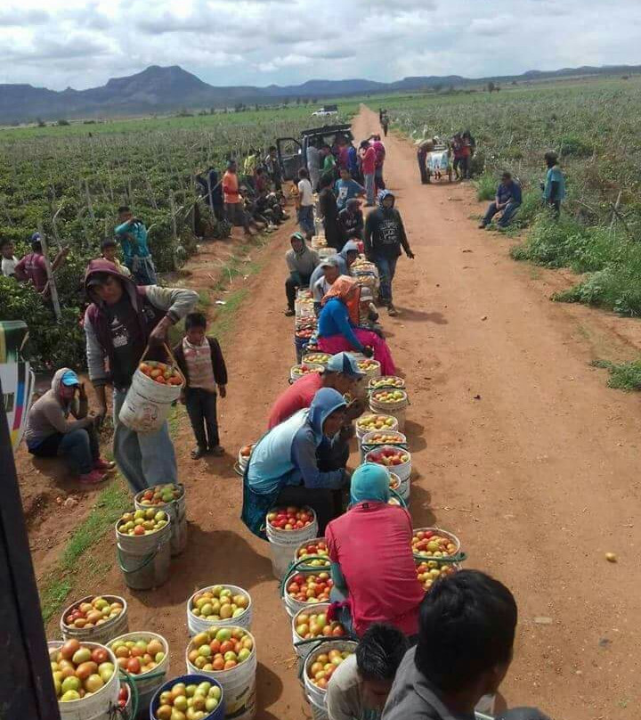 Carniceria Y Taqueria Mexico