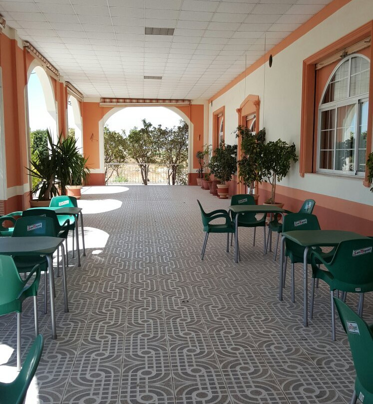 Agost餐馆和美食-Don Camilo