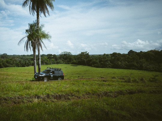 Pantera Transportation