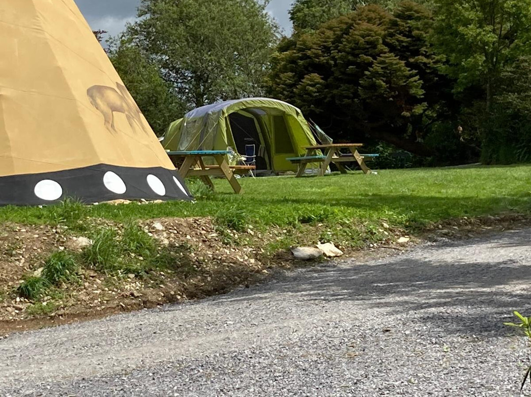 Dunbeacon Camping and Glamping