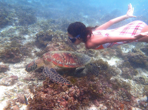 Lakbay Palawan-爱妮岛必去景点