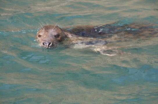 Venture Jet-St. Davids必去景点