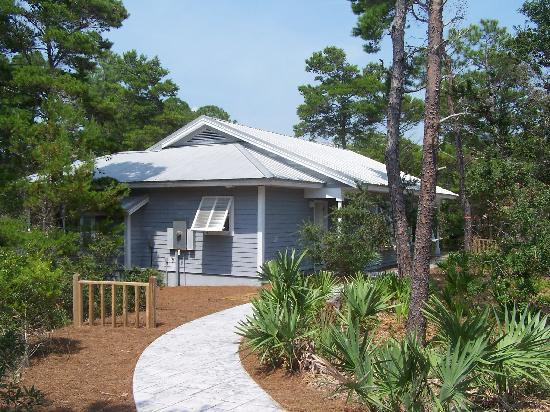 Grayton Beach State Park景点图片