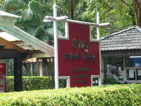 蛇园-曼谷必去景点