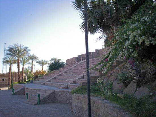 努比亚博物馆-亚斯文必去景点