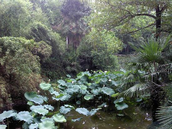 水绘园-如皋市必去景点