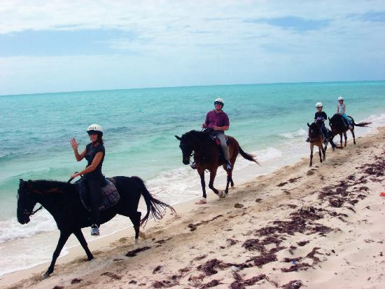 Provo Ponies-Long Bay Hills必去景点