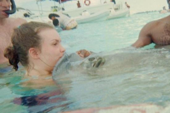 Stingray Adventures Ltd-西湾必去景点