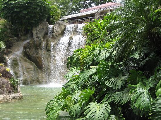Jardin Botanique de Deshaies景点图片
