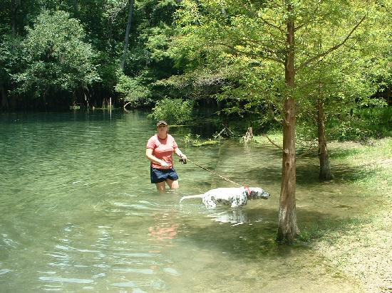 Manatee Springs State Park景点图片