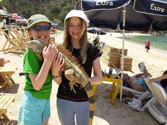 Yelapa English Spanish Institute-Yelapa必去景点