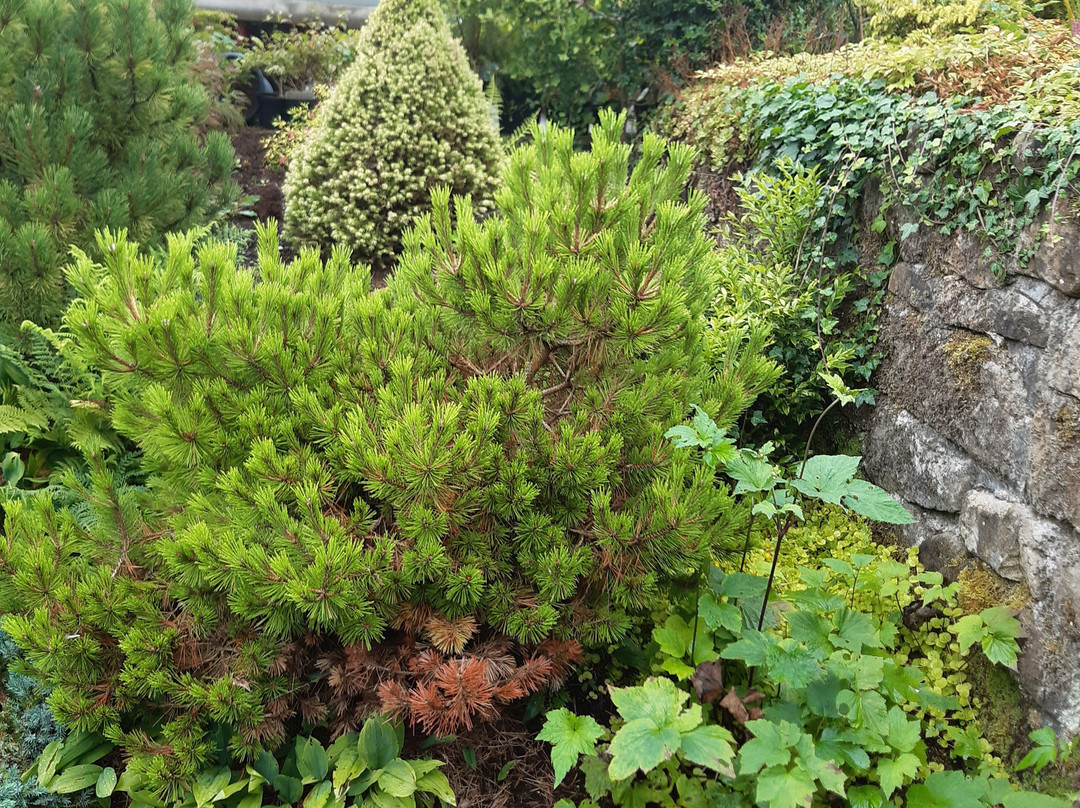 Mill Garden Centre-Armadale必去景点